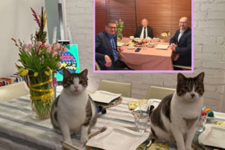 Bielan ujawnia kulisy kolacji: Ważyłem swoje tłuste koty dla prezesa 