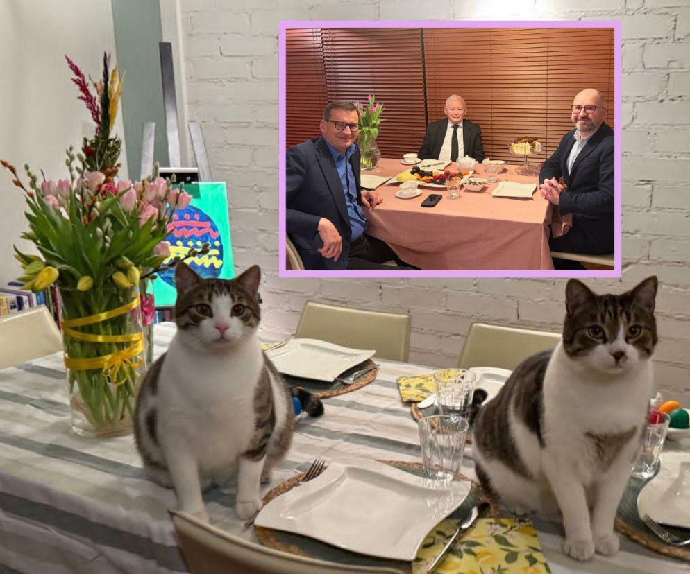 Bielan ważył koty dla Kaczyńskiego