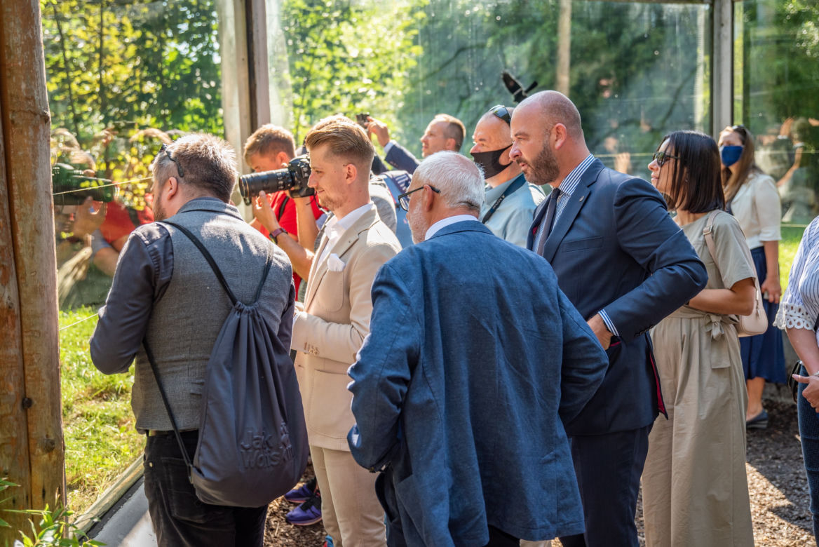 Ambasador Indonezji nadała imię młodej tygrysicy z wrocławskiego zoo