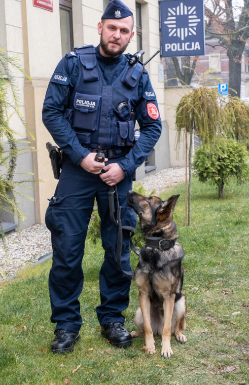 Otis nowy pies na komendzie