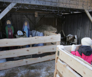 Żywa szopka bożonarodzeniowa w Krakowie. Każdy może ją już zobaczyć! [ZDJĘCIA]