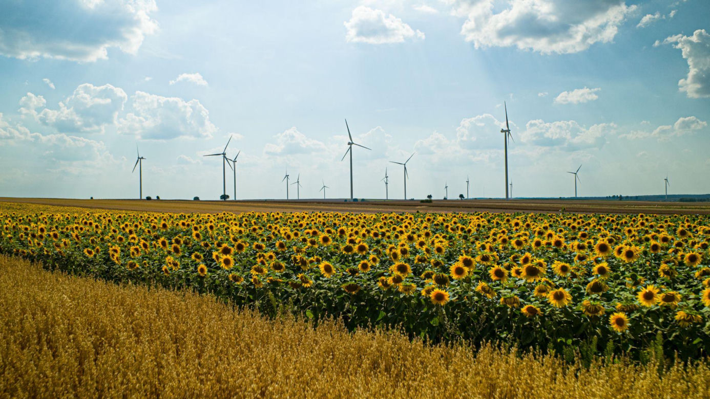 Farma wiatrowa Iłża Pakosław