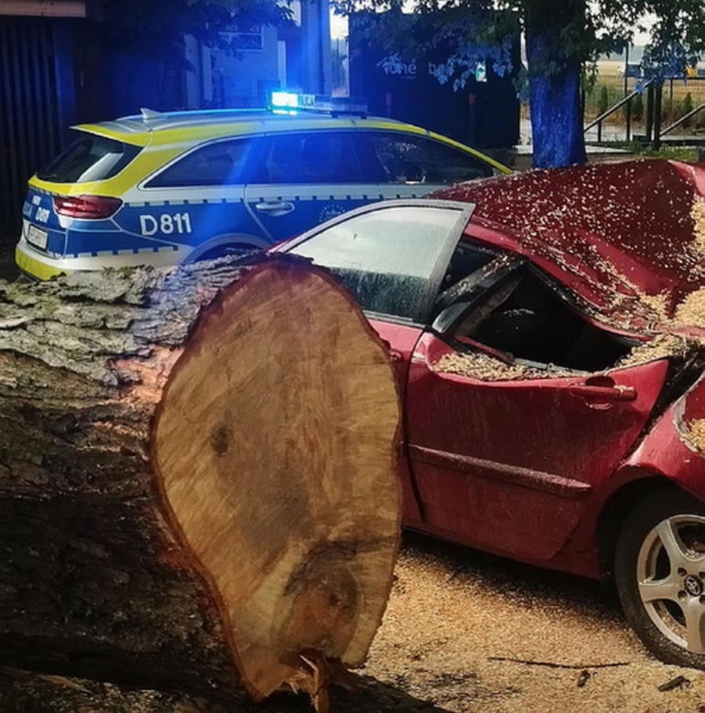 Krajobraz jak po apokalipsie! Potężna burza w Dęblinie. Drzewa miażdżyły samochody