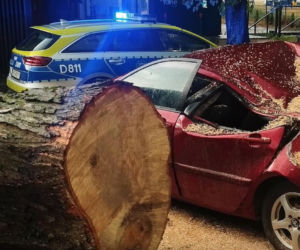 Krajobraz jak po apokalipsie! Potężna burza w Dęblinie. Drzewa miażdżyły samochody