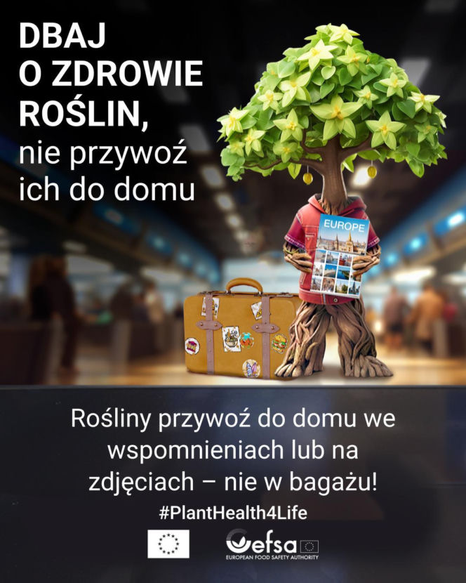 EFSA