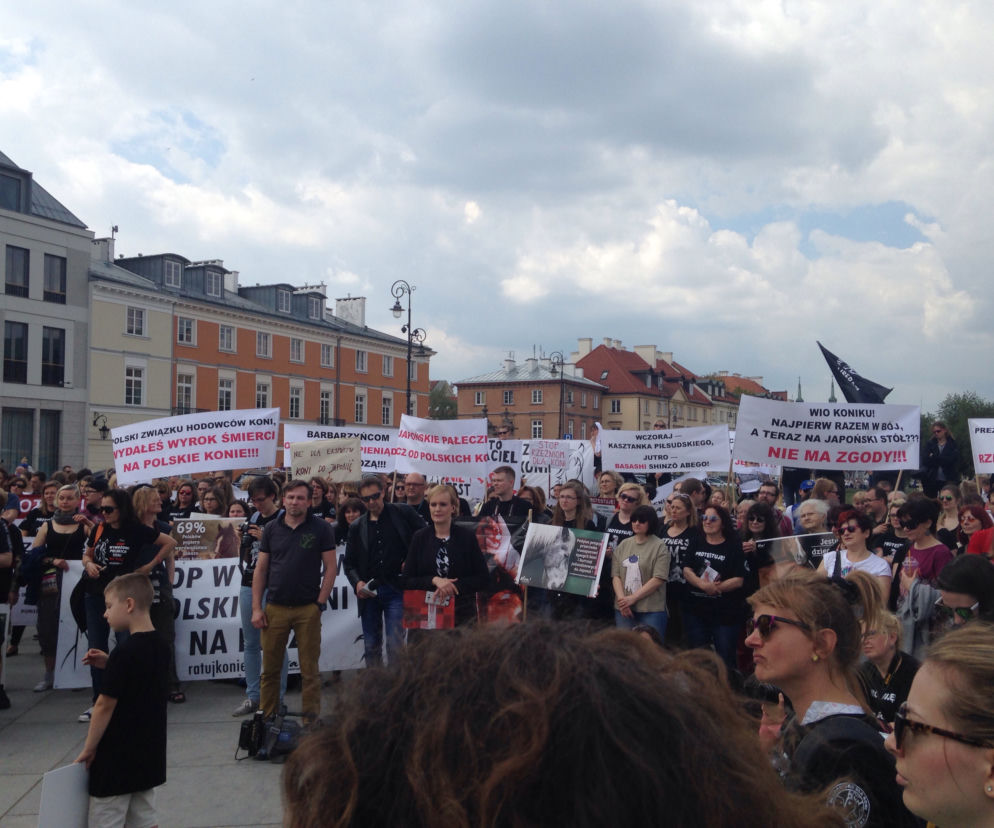 Manifestacja Stop zabijaniu koni