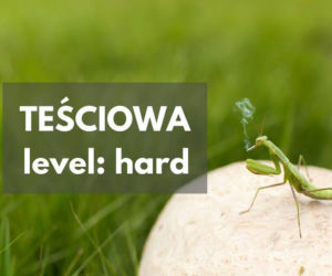 Dzień Teściowej 2021: MEMY. Najlepsze, śmieszne żarty i obrazki o teściowych [ZDJĘCIA]