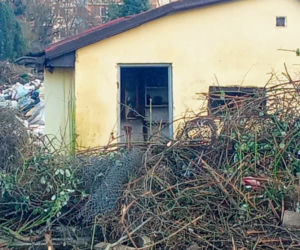 Torowa rewolucja: wycinka drzew na pętli Pomorzany i likwidacja działek