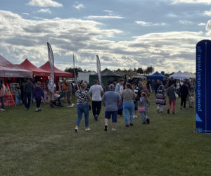 12. Rodzinny Piknik Lotniczy w Gryźlinach