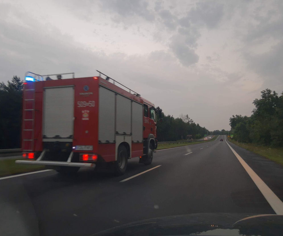 Potężna burza krąży nad Małopolską! Uszkodzone dachy i przewrócone drzewa [WIDEO]