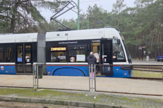 Przebudowa pętli Las Gdański ruszy w 2026 roku. Wycięto ponad 330 drzew!