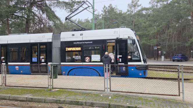 Przebudowa pętli Las Gdański ruszy w 2026 roku. Wycięto ponad 330 drzew!