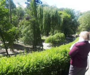 Krakowskie ZOO wznowiło działanie i zaprasza do odwiedzin