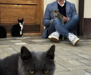 Peter Magyar - lider partii TISZA i jego życie