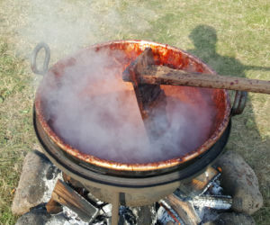 Święto Śliwki w Strzelcach Dolnych