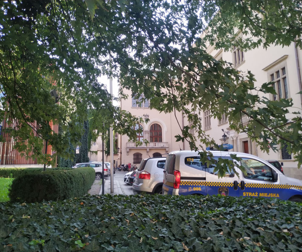 Dwie wizje zieleni przed krakowskim Magistratem. Gmina odrzuciła jedną i proponuje drugą