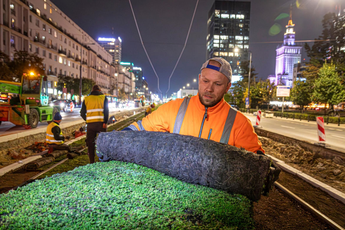 Wielki powrót tramwajów na Marszałkowską. Pojadą po zielonym dywanie