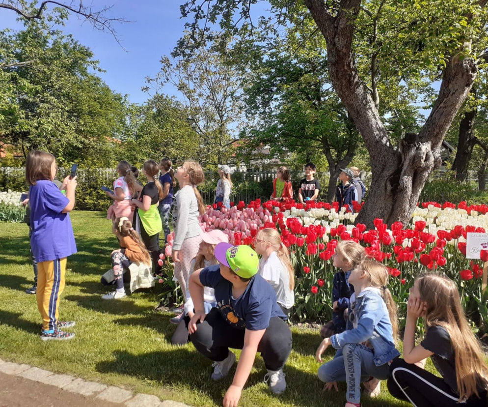 Piknik integracyjny i lekcje przyrody w Afloparku