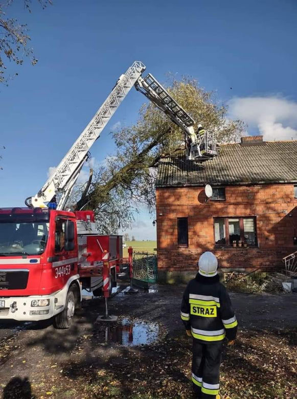 Wichury w Toruniu. Żywioł wywracał drzewa i nie tylko