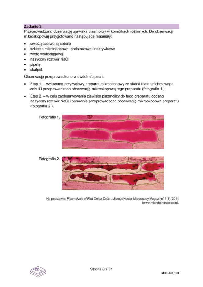 Arkusze matura próbna z biologii 14.01.2026