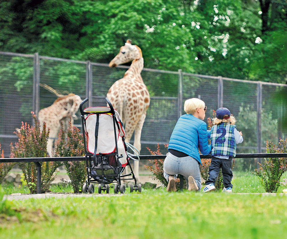 Weronika Książkiewicz zabrała synka Boryska do zoo