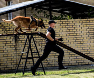 Policjanci na czterech łapach szkolili się w areszcie śledczym [ZDJĘCIA]