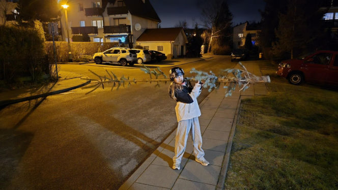 Nietypowa świąteczna tradycja. Co roku wybierają najbrzydsze drzewko w sklepie!