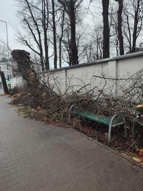 Nowa ścieżka rowerowa na al. 29 Listopada. Skończyło się rzezią drzew