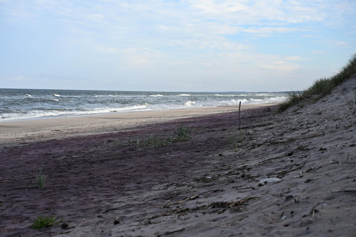 Fioletowy piasek nad Bałtykiem