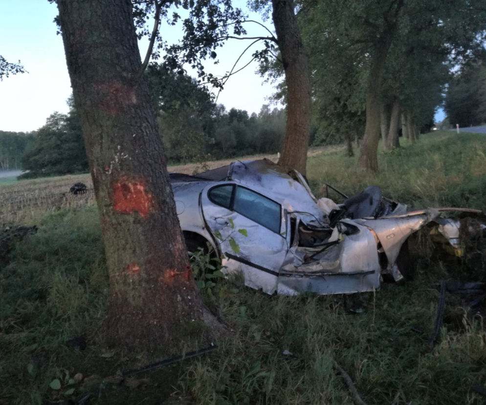 wypadek na DK19