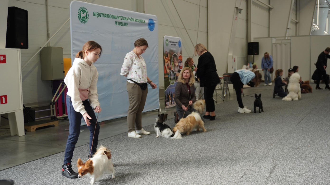 ZOOPARK w Lublinie. „Postawiliśmy na polski las. Chcemy promować nasze zwierzątka”