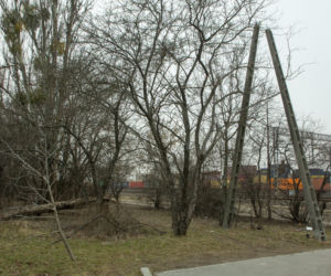 Przerażająca bójka nastolatek w Pruszkowie