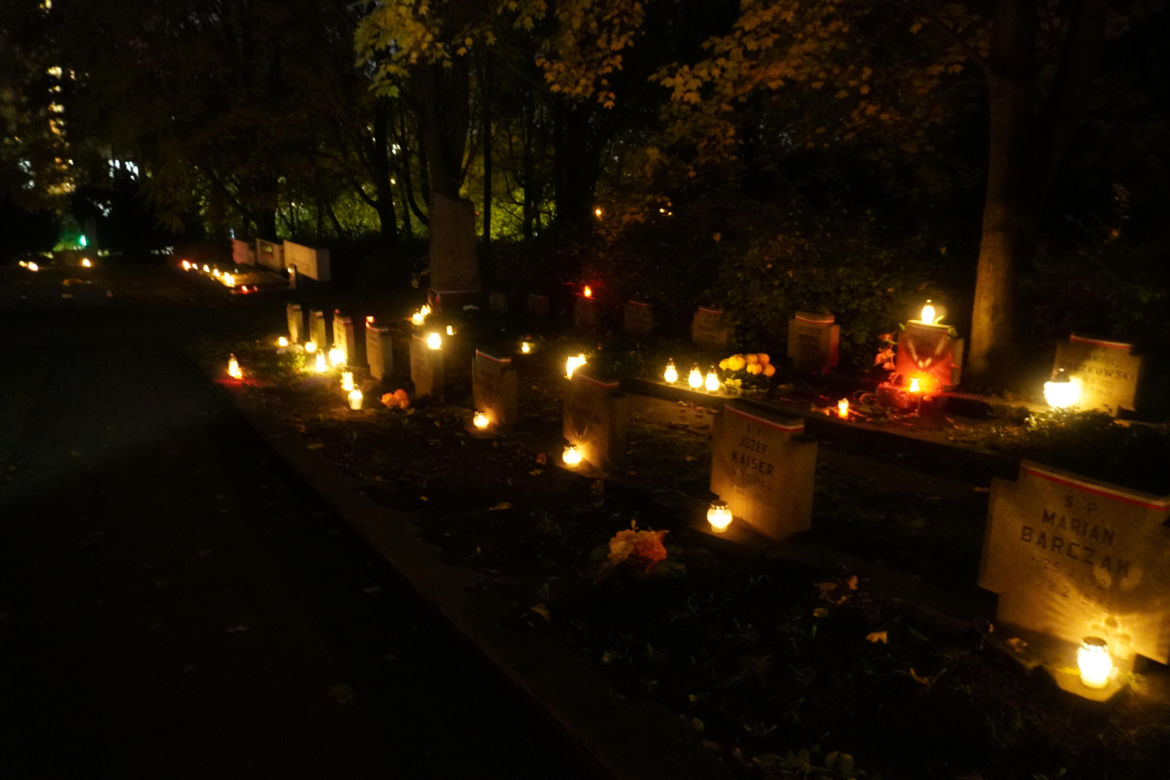 Poznańska Cytadela nocą
