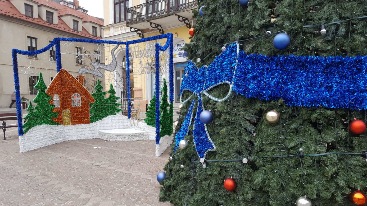 Choinka stanęła już na Placu Kazimierza w Tarnowie