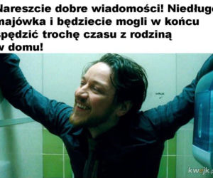 Majwówka 2020 memy