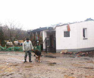 Krowa Diablica zobaczyła ogień i padła na zawał. Jarosław nie może się pozbierać. Miałem ochotę płakać