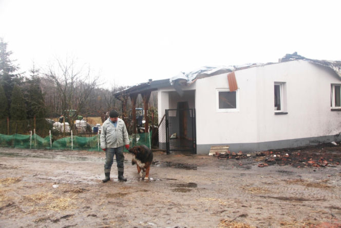 Krowa Diablica zobaczyła ogień i padła na zawał. Jarosław nie może się pozbierać. "Miałem ochotę płakać"