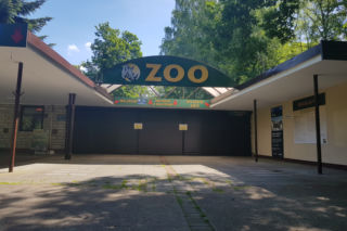 Prokuratura w poznańskim ZOO na zlecenie Urzędu Miasta! Jest komentarz wiceprezydenta!