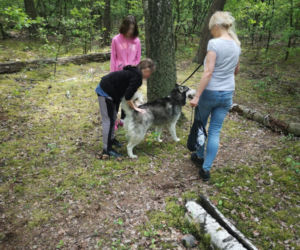 Nietypowa akcja strażaków z Kościana. Pomogli psu, który ugrzązł w norze w lesie