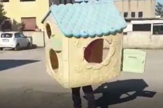 Jak wytrzymać w domowej kwarantannie? Koronaporadnik Adama Federa [WIDEO]
