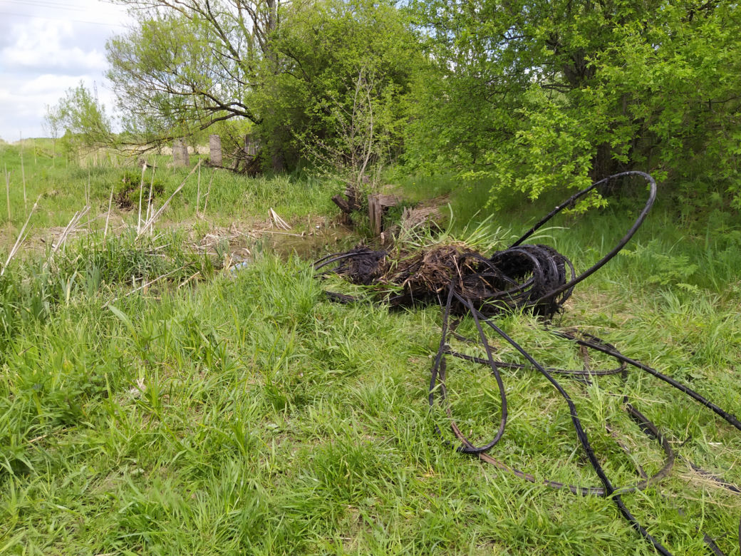 Sprzątanie mostu kolejowego nad rzeką Muchawką - 15.05.2021