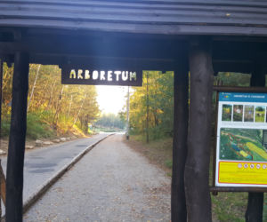 Arboretum w Jaworznie