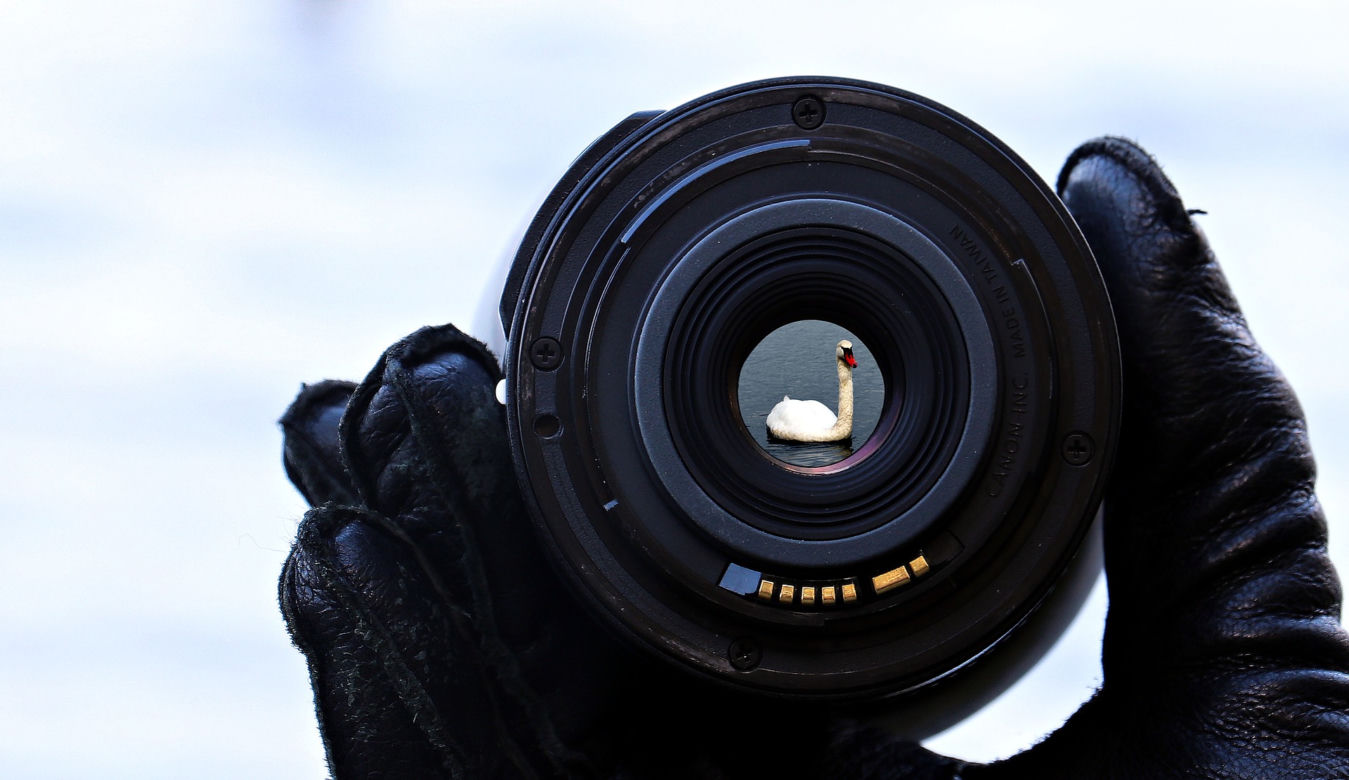 Warsztaty fotograficzne
