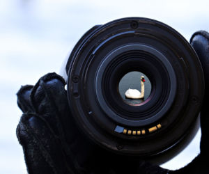 Warsztaty fotograficzne