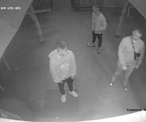 Wybili szybę i splądrowali auto! Policja z Bydgoszczy publikuje nagranie i prosi o pomoc [WIDEO]