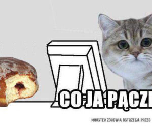 Memy na tłusty czwartek 2024 [GALERIA]