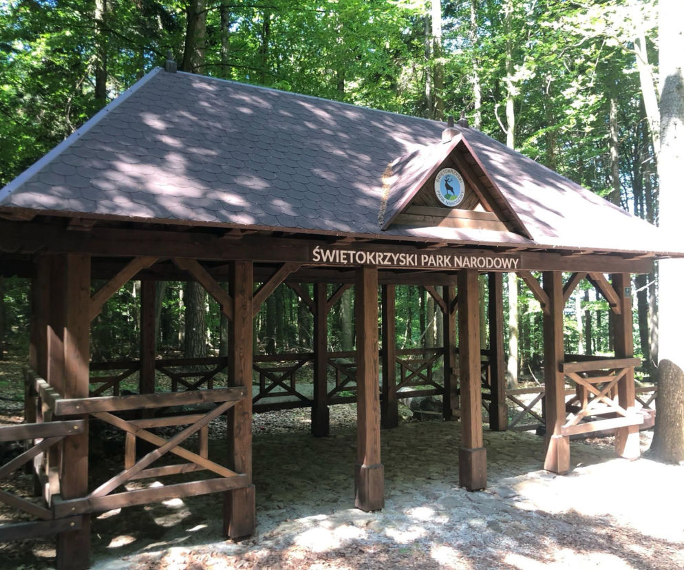 Świętokrzyski Park Narodowy nie do poznania. Nowości, które ułatwią wędrówkę