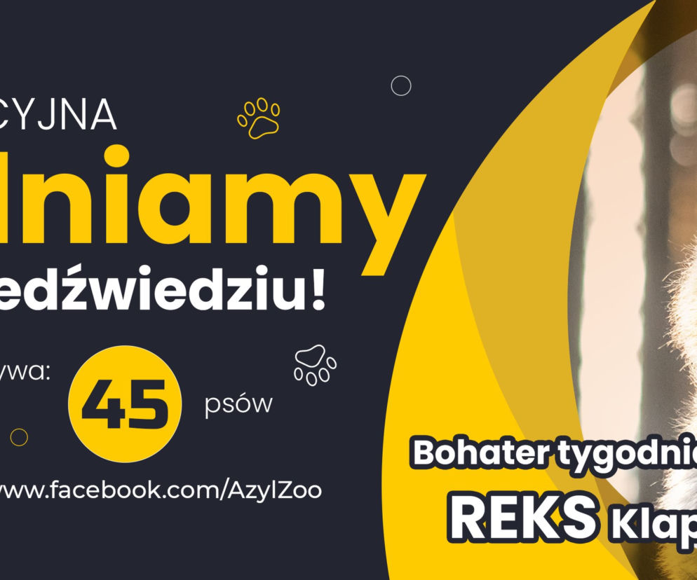 pieski
