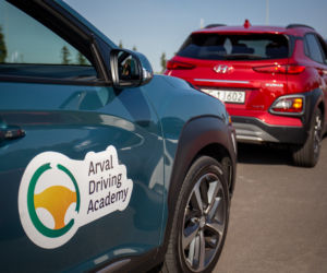 Energy Mix Arval 2020