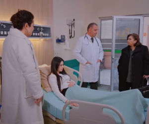 Miłość i nadzieja, odcinek 339. Naciye, Cavidan, Bahar